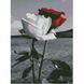 Алмазная мозаика на подрамнике с круглыми камушками. Красные и белые розы, С подрамником, 30 x 40 см